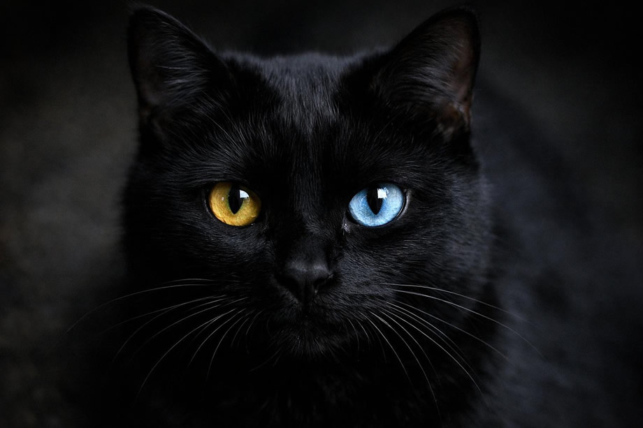 3 ζώδια που φημίζονται για την γρουσουζιά τους – Πω, πω! Η αρνητική τους ενέργεια…