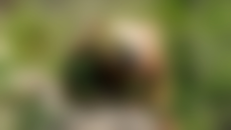 Φρίκη και ανατριχίλα στη Δράμα! Σκότωσαν και α@@@@@…