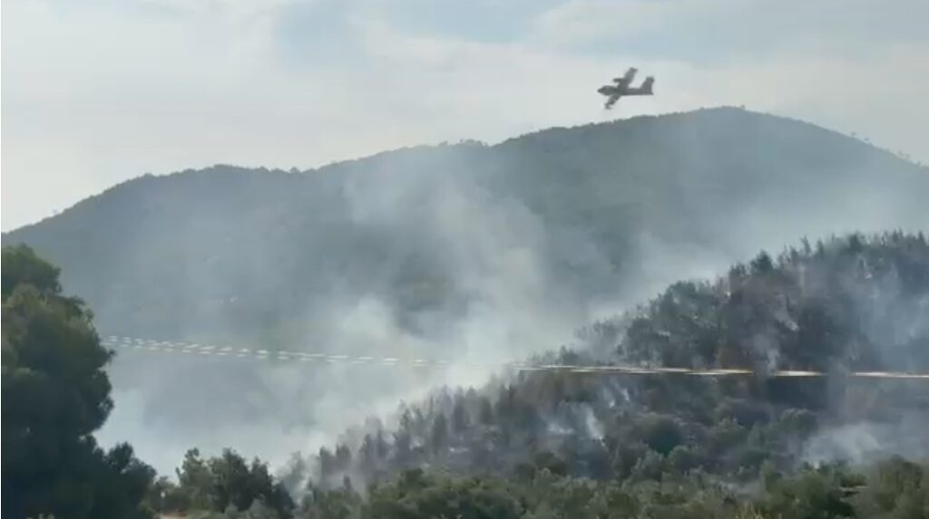 Έκτακτο – Ελλάδα: Μεγάλη φωτιά καίει κοντά σε σπίτια! Πυροσβεστική και εναέρια μέσα δίνουν μάχη!