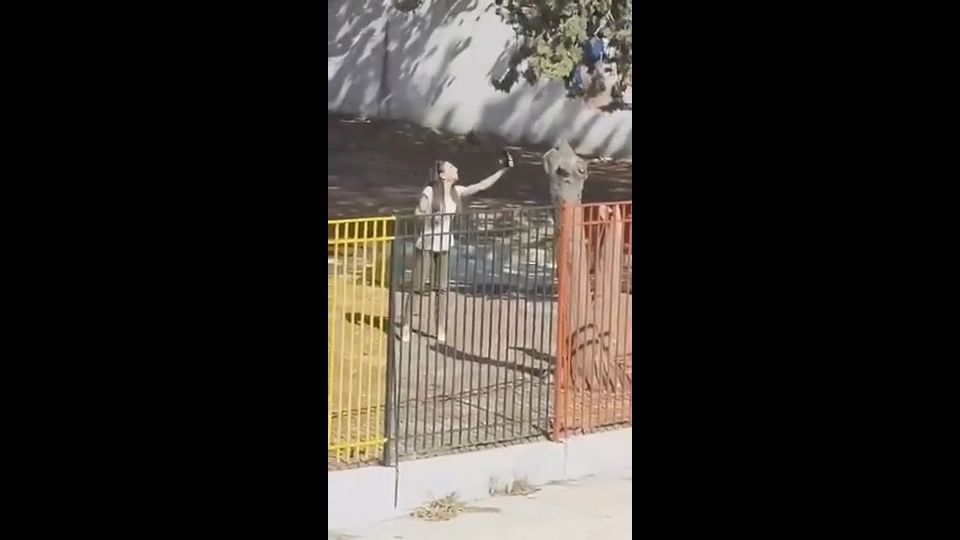 Άνω Λιόσια – Νηπιαγωγείο: “Θα φωνάζω όσο θέλω” – Στο νοσοκομείο η διευθύντρια – Ψάχνουν τους γονείς